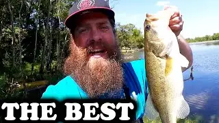 The Best Bass Fishing Lure For Early Fall - Realistic Bass Fishing!