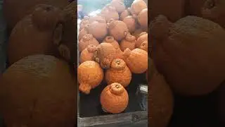 Dekopon citrus.Very sweet
