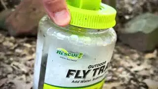 Watch What Happens When You Try This Simple Fly Trap!