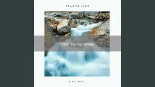Sounds of Rain Forest with Virgin Stream