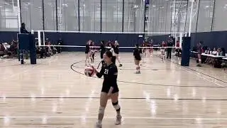 BAVC 16 Jo v Lady Sharx 16 Black