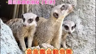 二訪高雄壽山動物園（園區有新增新朋友）