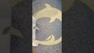 Fish On Epoxy Floor #shorts #epoxy #epoxyfloormalaysia #epoxyflooring