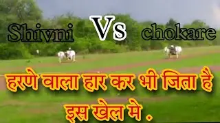 masli pat. chandrpur Jilla|| मासळी शंकर पट. चंद्रपूर जिल्हा || nad ekch bailgada shariyat 🤩🤘✨