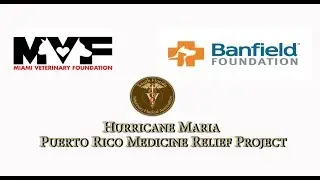 MVF & Banfield Foundation Puerto Rico Medicine Relief 102917