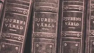 GRAVEYARD - Lights Out (OFFICIAL TEASER)