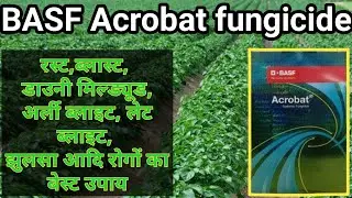 Acrobat Fungicide। dimethomorph 50%wp।best fungicide for potato। BASF Acrobat।alu Ka jhulsa rog