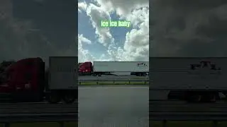 Ice agent on the border of Georgia in Florida grabbing more illegal scum. #iceraids