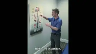 Find the ROOT CAUSE for your symptoms and correct the misalignments in your spine #chiropractic