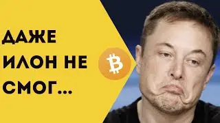 Илон Маск + Твиттер + Биткоин - это Туземун.