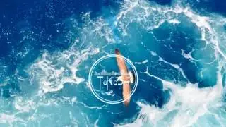 Kinkajous &ndash; Vinam CHPLN Remix