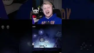 100% лучший тест звука, работает всегда #hollowknight #coop #randomizer #modded #twitch