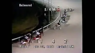 1994 Balmoral Park BEYOND THERAPY Rick Finn