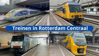 Treinen op station Rotterdam Centraal - 25 mei 2024
