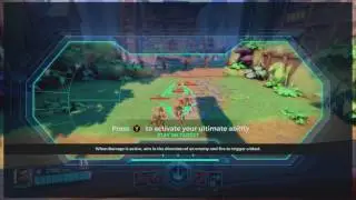 paladins first look!