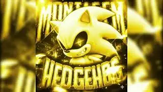 MONTAGEM HEDGEHOG (Sped Up)