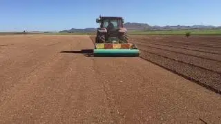 GREDICAR PER PATATE ORTIFLOR GROUP MOD. TSP 235 CON RULLO CILINDRICO