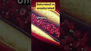 Saturated VS Unsaturated Fats