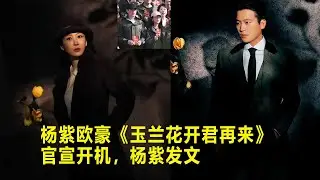 杨紫欧豪《玉兰花开君再来》官宣开机，杨紫发文