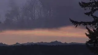 Camano Island, Winter 2023-2024