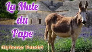 Livre audio : La Mule du Pape, Alphonse Daudet