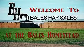 Bales Hay Farm and Ranch Store