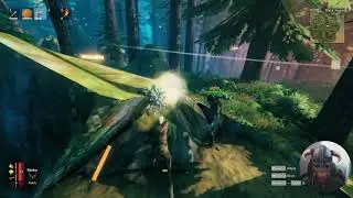 Valheim with Wonton