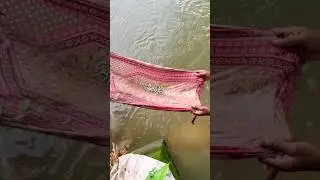 🎣 Fishing with a Towel at the River Sluice Gate! #fishing #riverfishing #grampuri