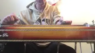 Show Pro Steel Guitar through a Quilter Steelaire