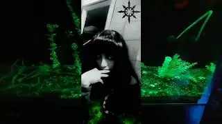 Stahlschlag Hate Industrial Dance Abyssus