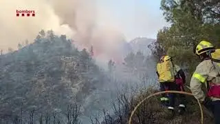 Cremen 4 hect&agrave;rees dins l'espai protegit de les serres de P&agrave;ndols i Cavalls  a M&oacute;ra d'Ebre