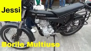 Borile Multiuso 230: A Versatile and Fun Italian Motorcycle