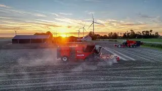 Potato harvest with Dewulf | Aardappels rooien door Agrodienst Labrijn🥔🥔