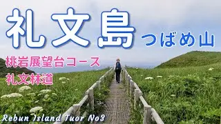 【礼文島③】花の浮島の本気！この景色が見たかった！桃岩展望台コース・礼文林道【シニア夫婦のゆる登山日記No82】