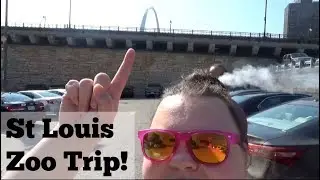 Saint Louis Zoo Trip | part 2!