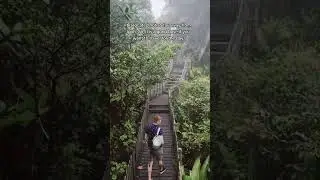 Must-do in Malaysia 🇲🇾  Visit the Cameron Highlands