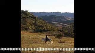 Inside The Succession Turmoil Facing Australian Farmers | The Bloomberg Australia Podcast