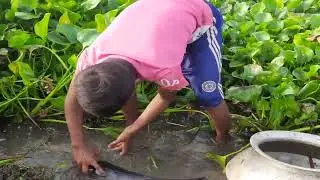 Top 10 Fishing Video 2023 / Amazing Best Hand Fishing In Mud Water  15
