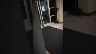 Here&rsquo;s a quick guide on how to use a Militaur First Responder Door Stop. Stay safe.