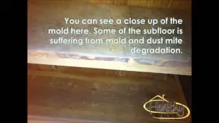 Mold Remediation in Boonville Indiana