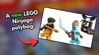 LEGO NINJAGO 2025 Arin vs. Dragonian polybag | Review