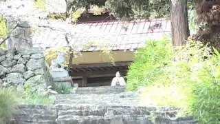 上田の地石緑色凝灰岩 古墳時代から現代までの軌跡