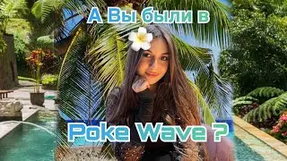 Poke wave. Обзор Poke wave, лучший поке в спб