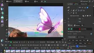 AnimaShooter Path Simplification