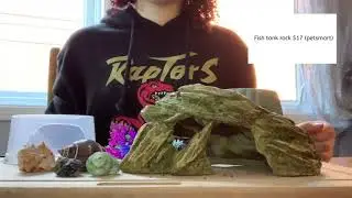How to Take Care of Hermit Crabs ~ the basics