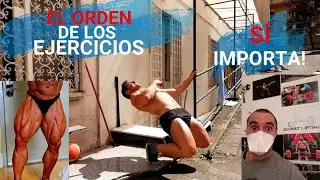 CU&Aacute;DRICEPS FUERTACOS (Desde Casa 🏠) #PIERNACAS de ANIMAL