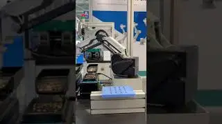 Video naselli Mecspe 2025