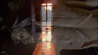 Passio Domini nostri Jesu Christi. Al centro dei riti della Settimana Santa