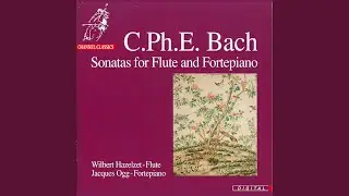 La Stahl in D Minor, Wq. 117/25, H. 94. Grave