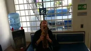 Vet Playas Veterinary Clinic Happy Dog